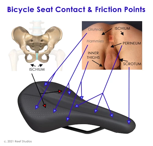 Cycling contact and friction points for Male Waxing